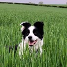 05351417-b867-4196-b07a-32c31afabf19