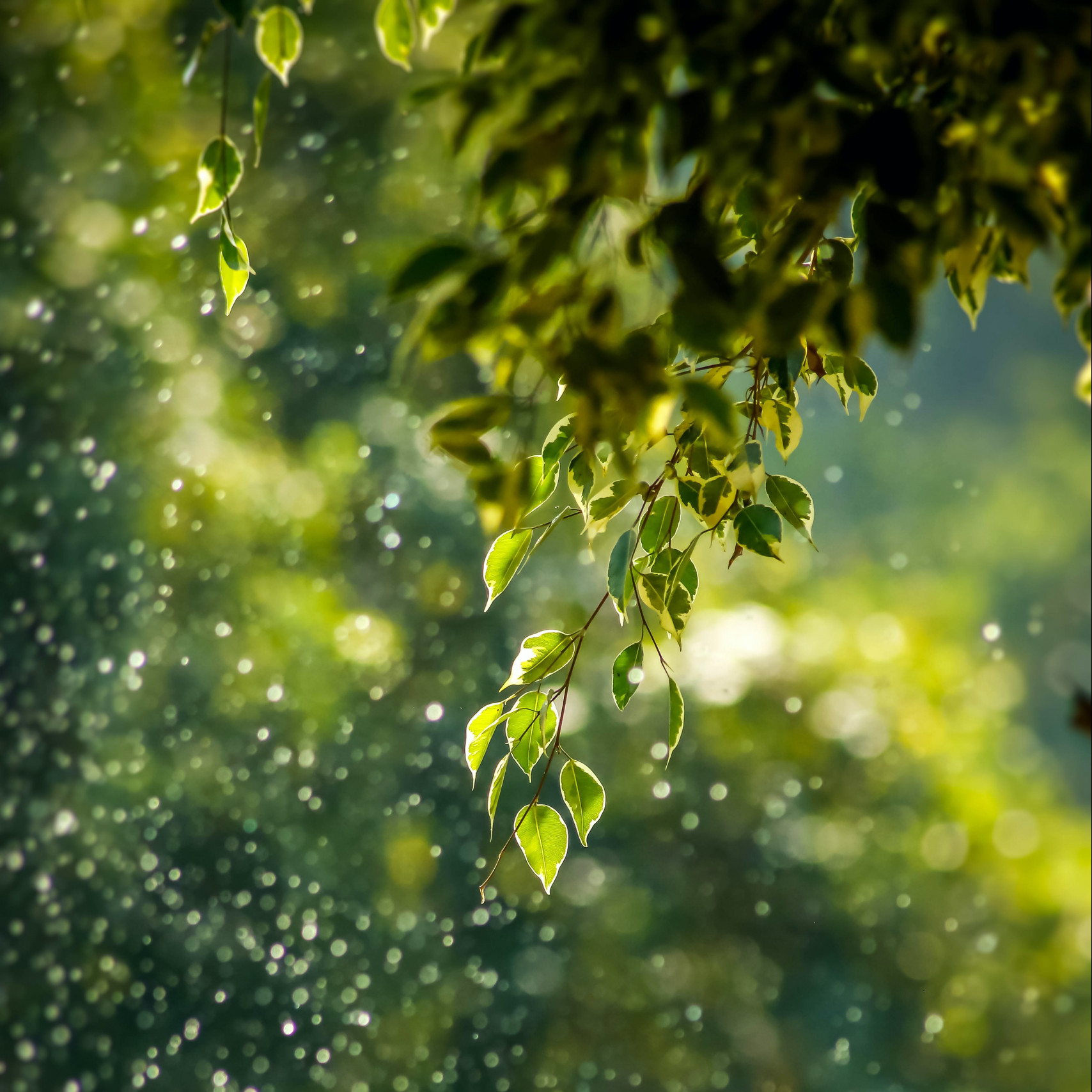 goutham-krishna-h5wvMCdOV3w-unsplash