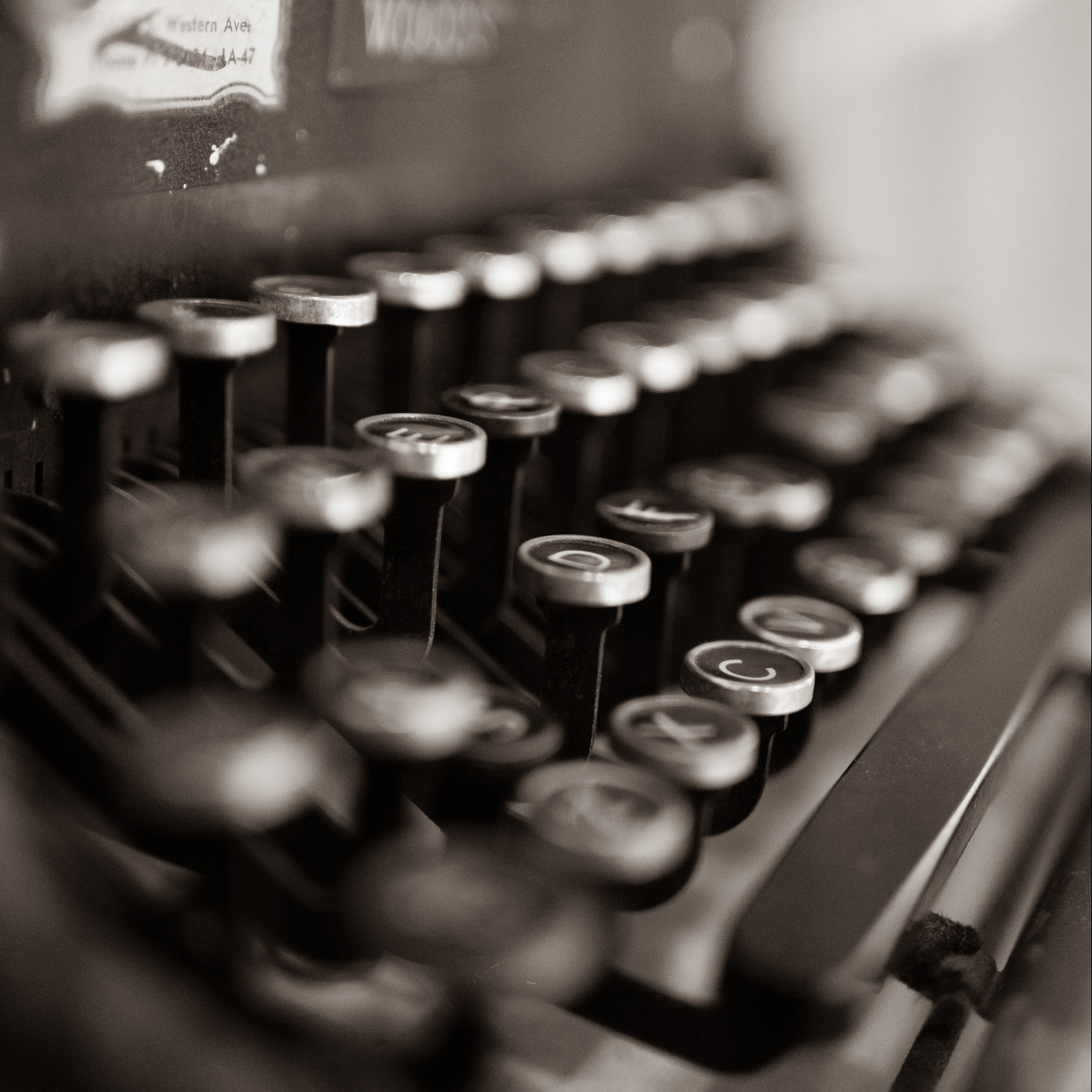 limepic-PfqPmJyKsKQ-unsplash